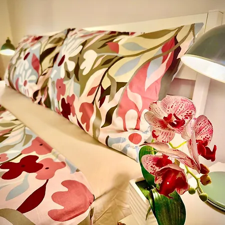 Santo Spirito Oltrearno Cozy Flat Apartment